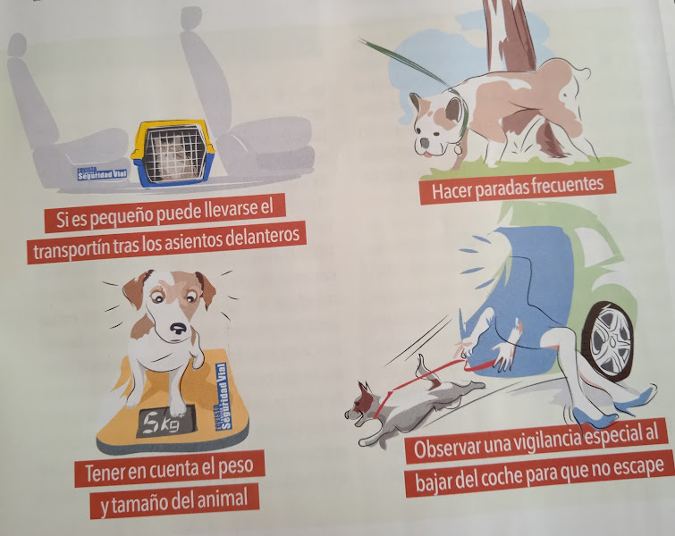 Autoescuela Lagunak Gros