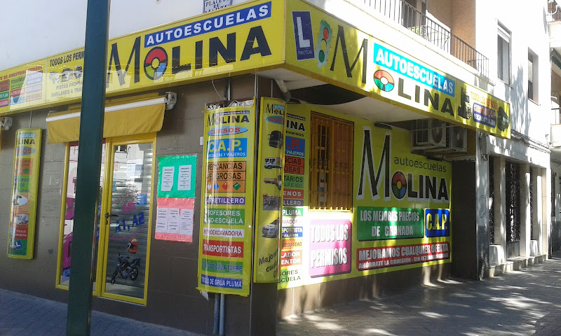 Autoescuela Molina Chana