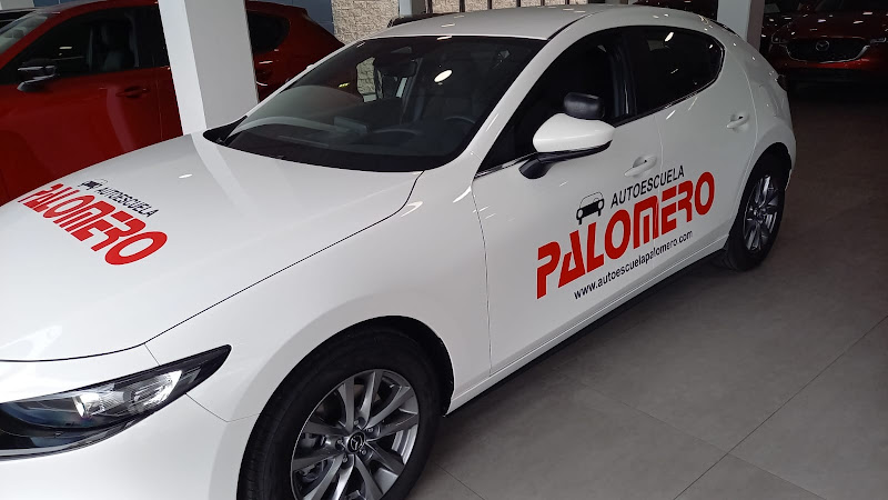 Autoescuela Palomero Magnus
