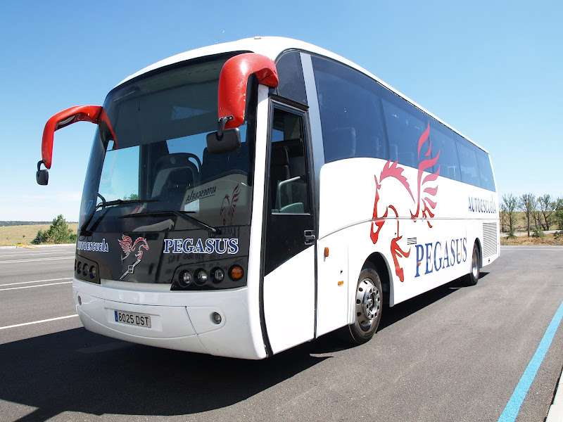 Autoescuela Pegasus