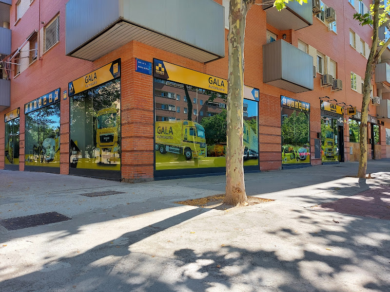 Reina Sofia 12 |GALA Autoescuela – Centro Recuperación de Puntos